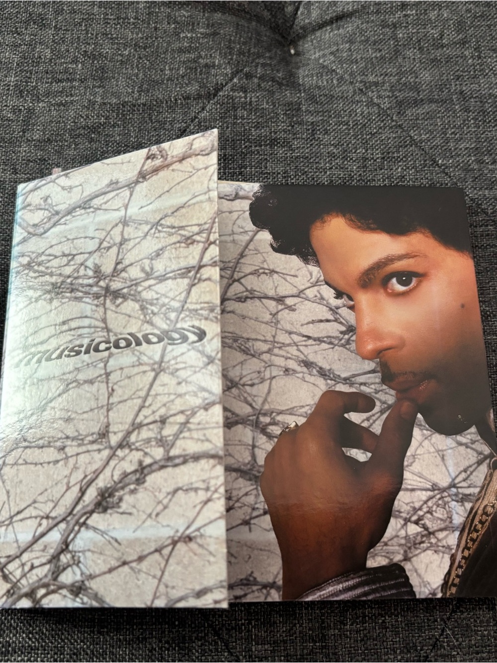 Prince Musicology Album Cover - Portrait with Winter Branch Art EUC A